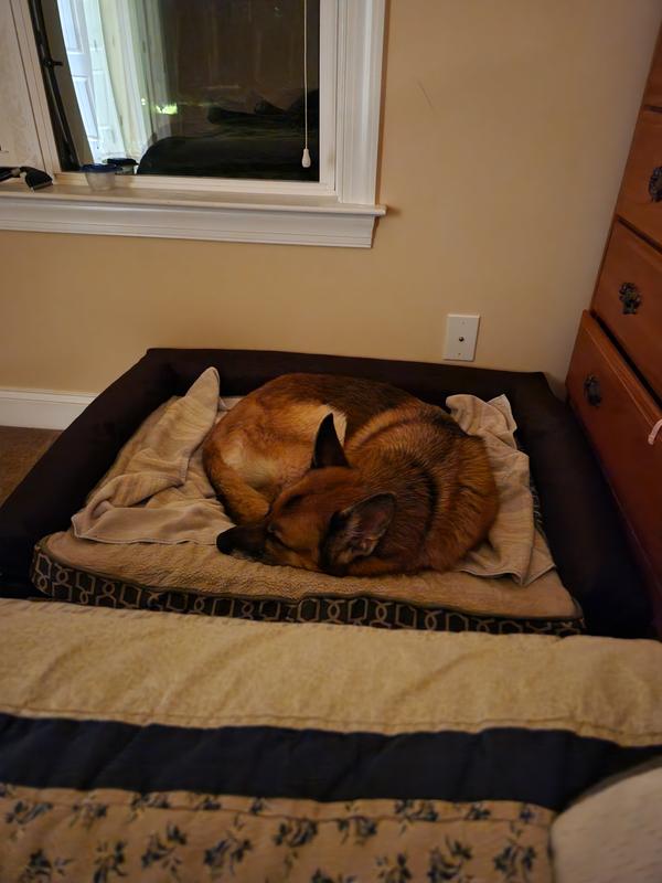 The bed works perfectly with a orthopedic memory foam pad she was already using.