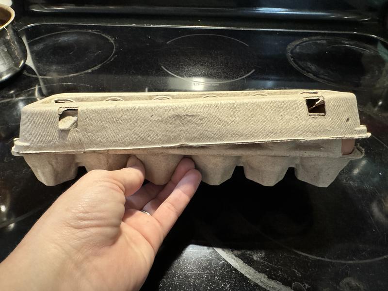 Average eggs on left and extra large on right, lid will not completely close.  If you space out the extra large eggs with average eggs it will close.