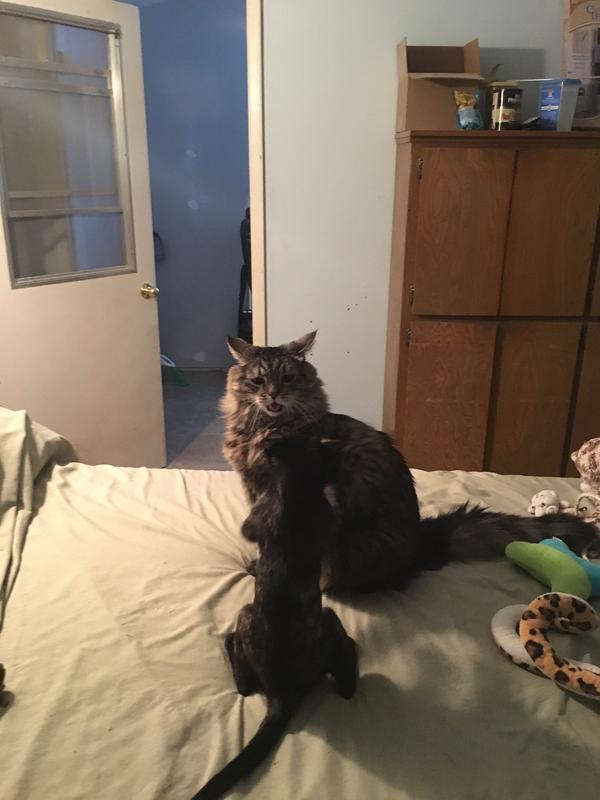 Baby Boy and Little Girl