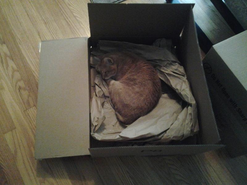 Love those food boxes