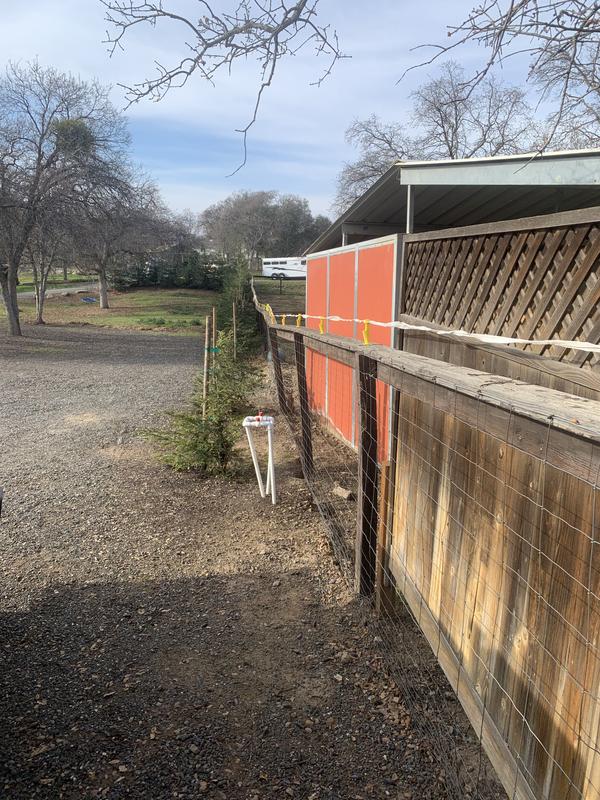 Used insulators on top of fence.