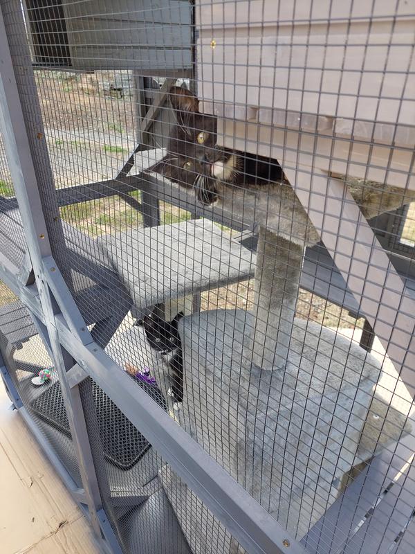 2x catio AIR22 Modified and repainted