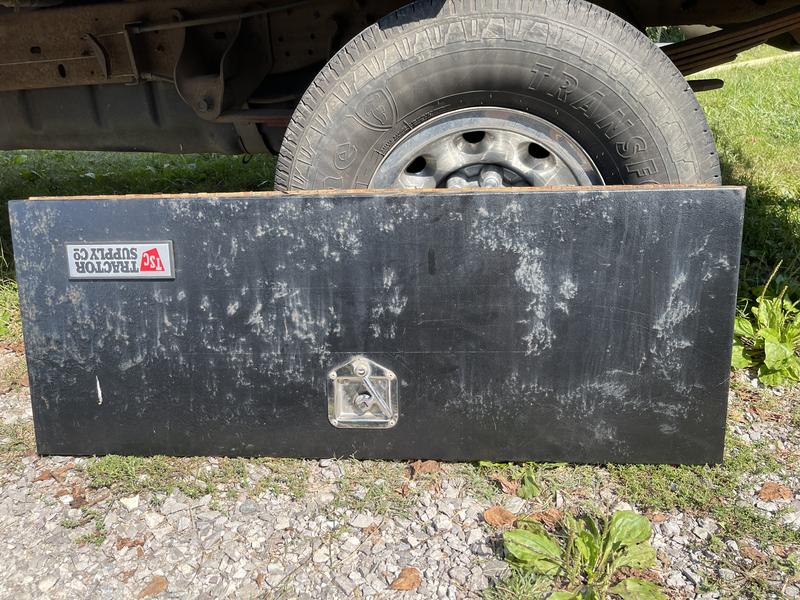 Light colored areas where paint is not adhering due to rust.