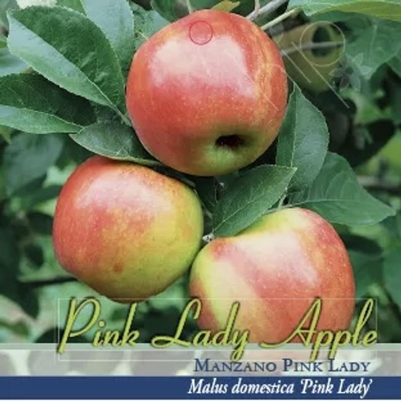 Golden and pink apple are different