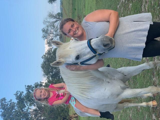 Champ in his new halter