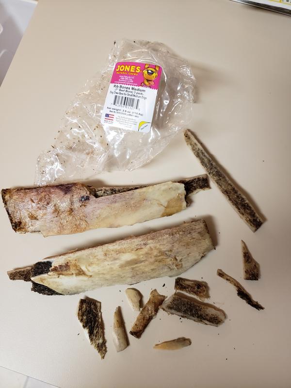 A recipe for a large vet bill and a dog in a lot of pain or worse.