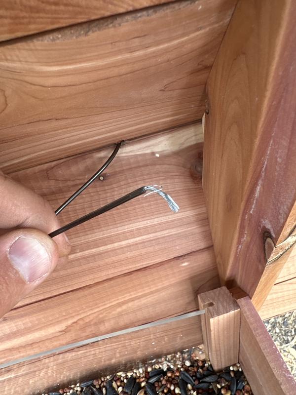 Wired pulled from puny staples