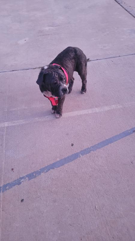 After 2nd application