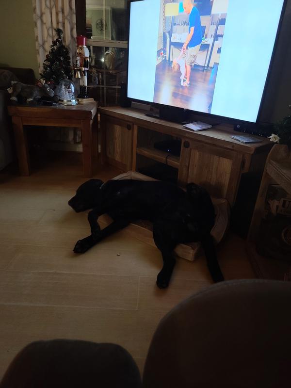 He tried to sleep on it