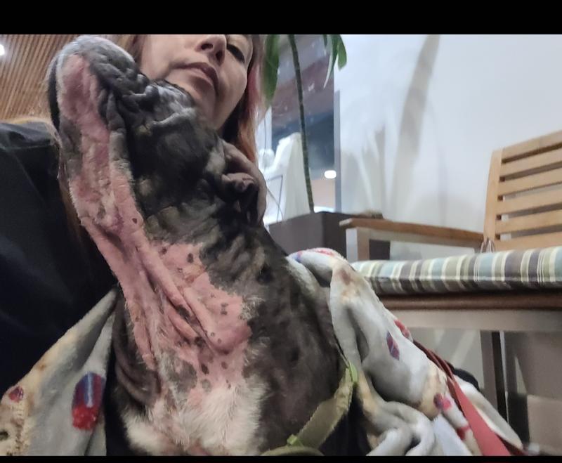 1 mo after infection