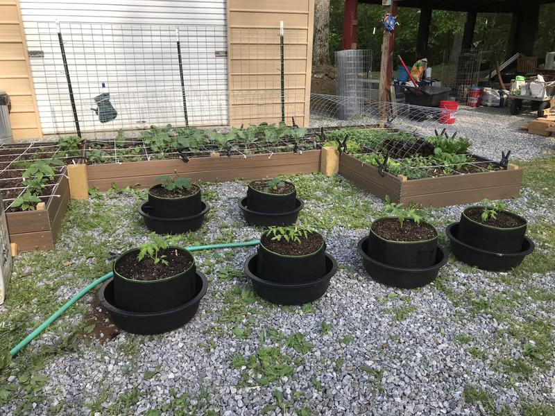 Grow bags with 7 gallon feed dishes