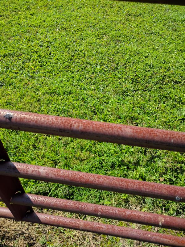 Paint worn away, rust coming through after 10 years