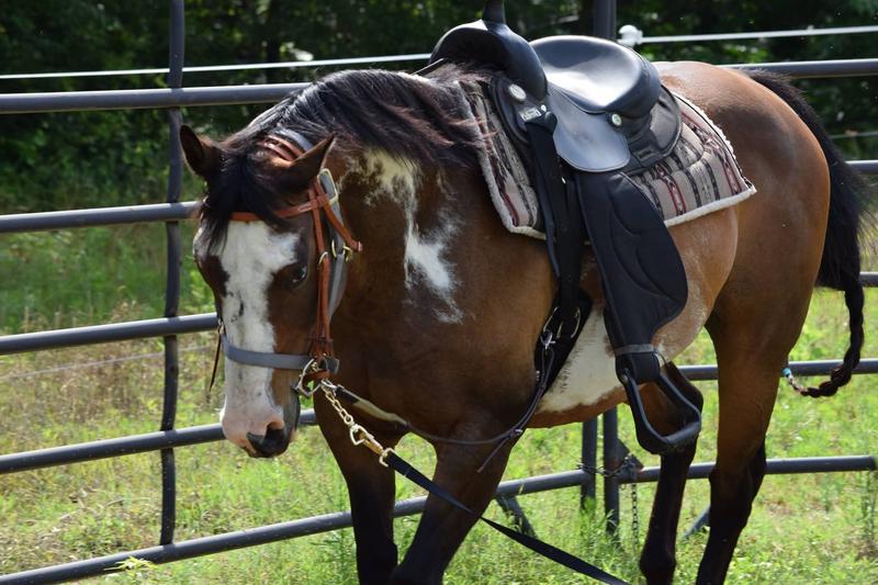 Just wish they could keep it in stock.