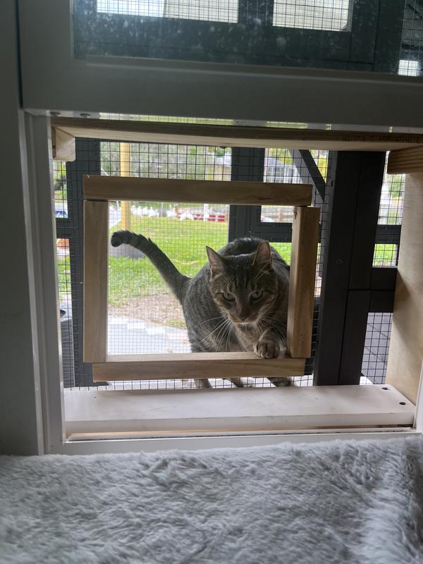 Had to build an entrance to the house