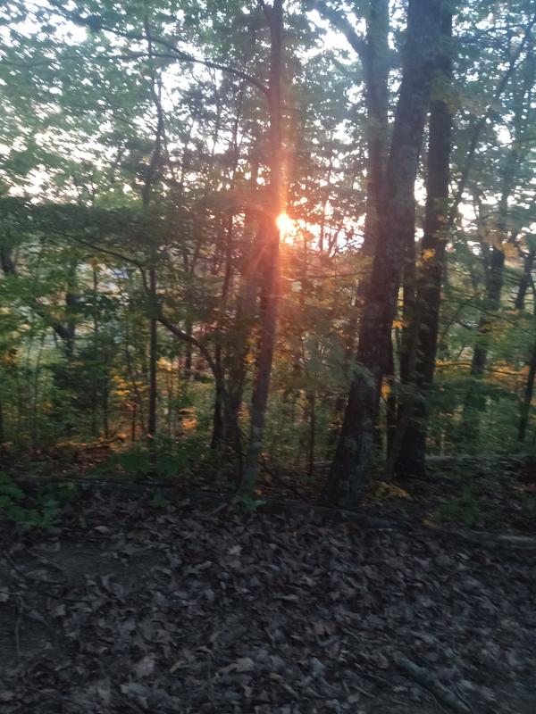 Without that hub I couldn't have done taking these beautiful pictures that evening!!!