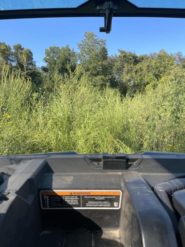 Before and After. Has some spots taller than my buggy