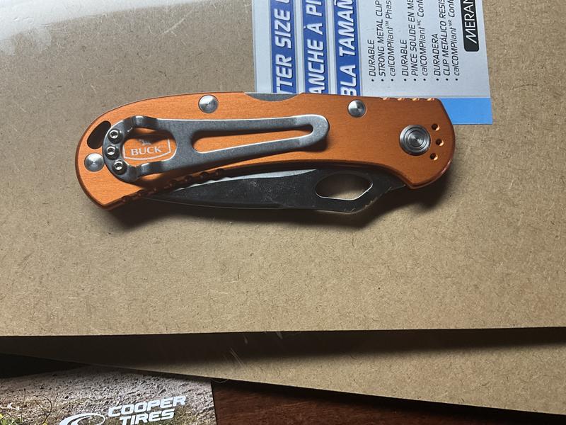 Folded knife rear view