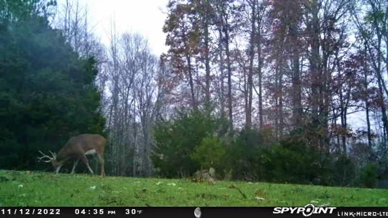 3 weeks after germination