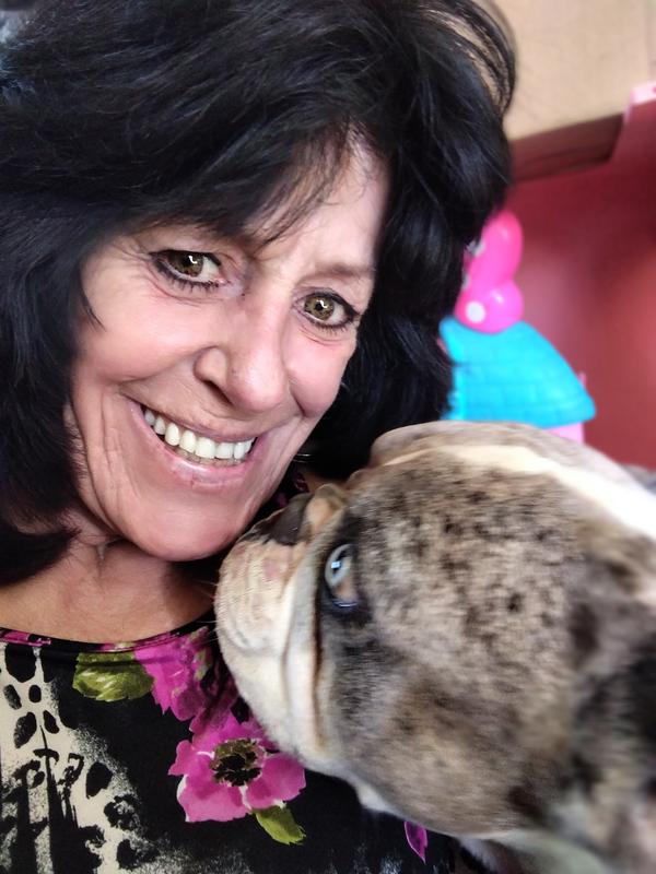 After his bath happy dog !