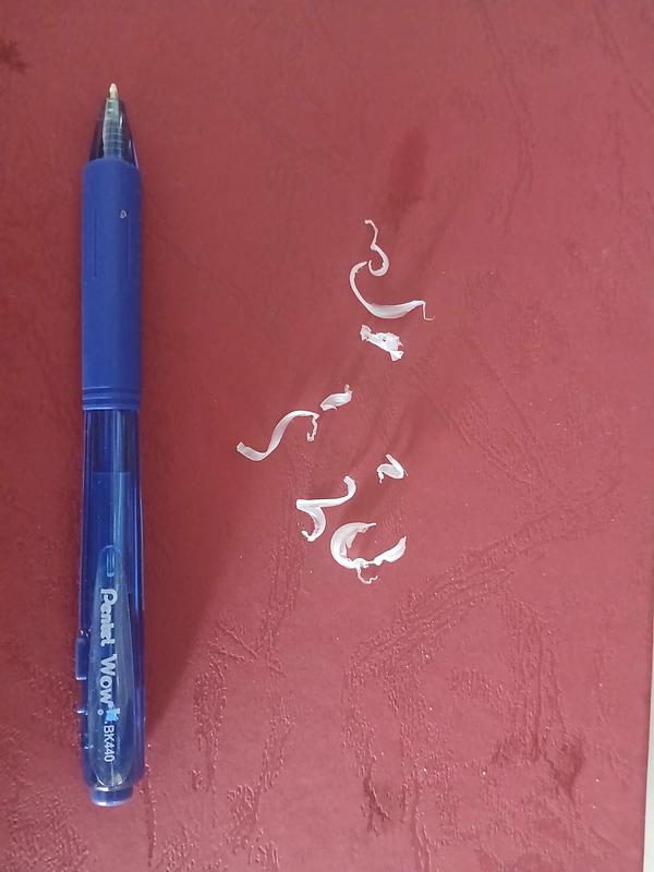 shavings from manufacturing I cleaned out of the reservoir Fimco did not clean out.