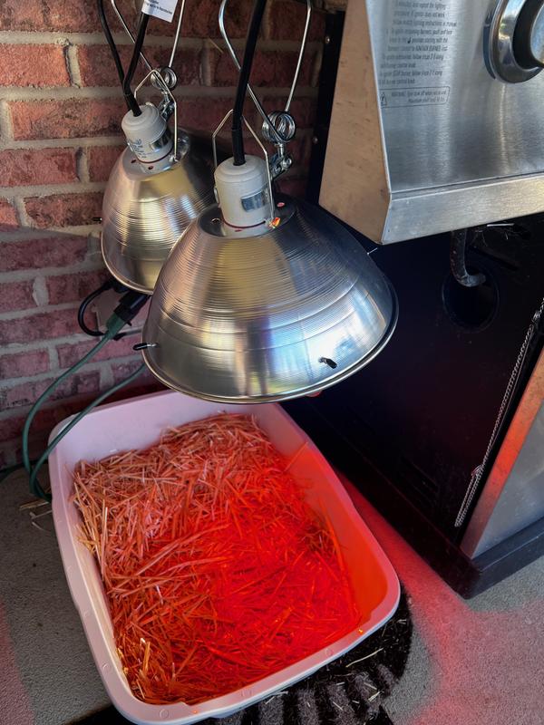 My community cats love the heat that is put out by these two lamps.