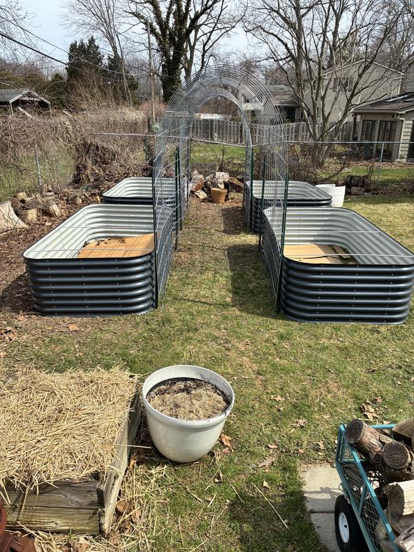 2 eight foot long raised beds with 2 cattle panels creating a 6 foot plus archway