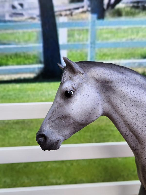 More Breyer beauty in this lovely new model horse.