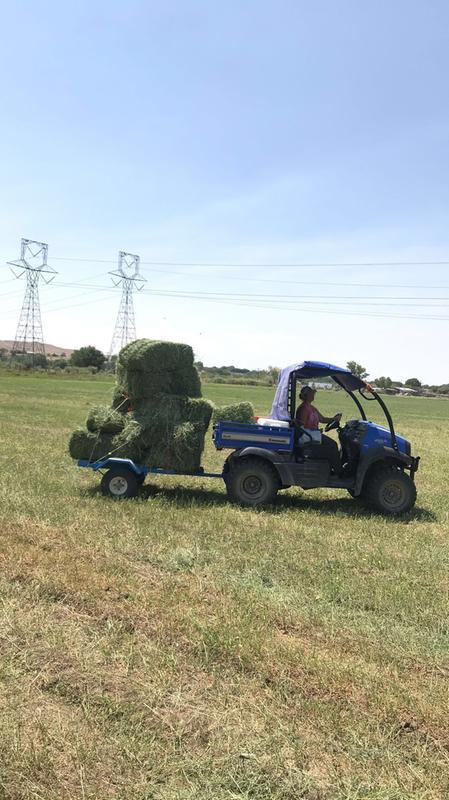 With help from the MULE HITCH!