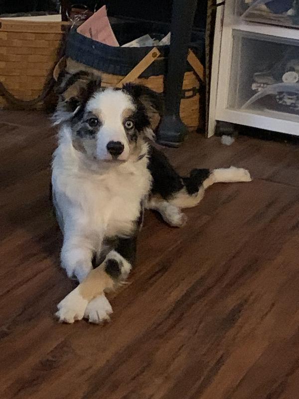 The many moods of Skylos