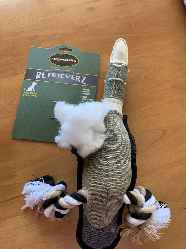 Dead duck, 2 minute lifespan