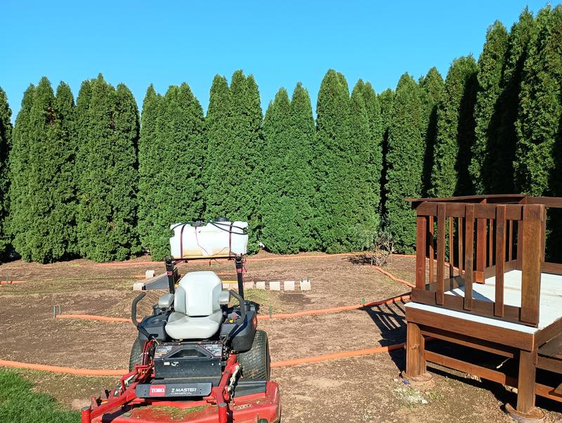 Backyard RC track maintenance