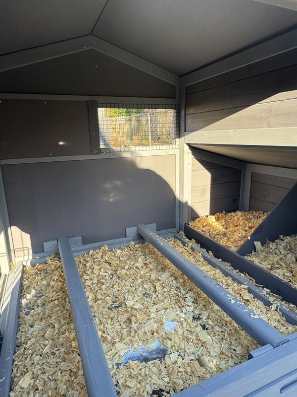 Interior showing 2 perches & nesting boxes