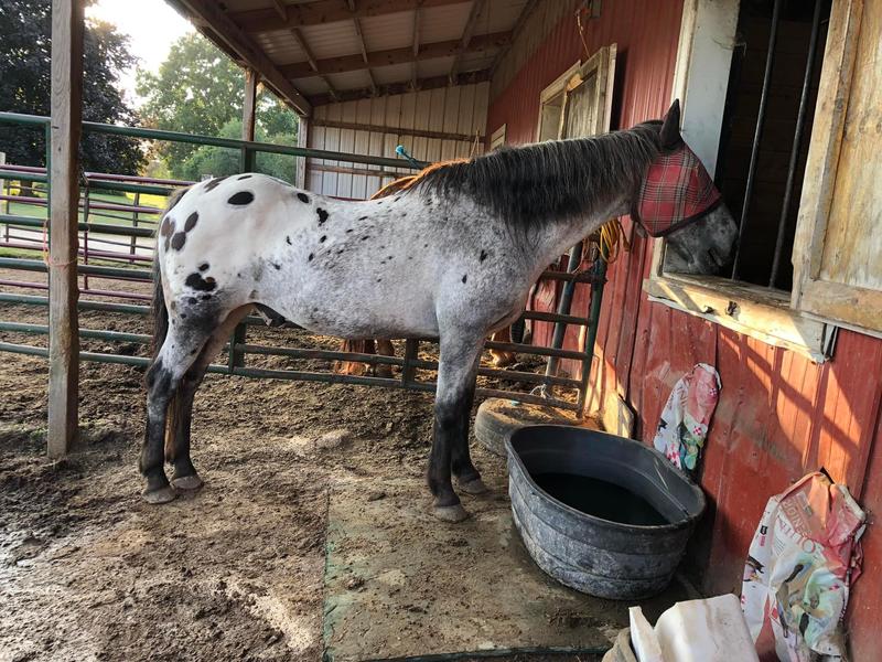 My 32 year old partner! He deserves the best I can give him!❤️