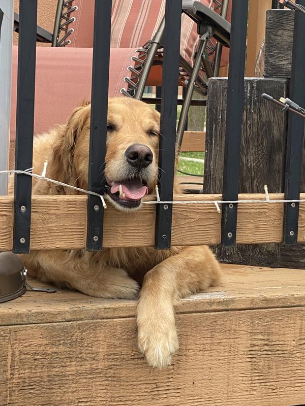 Cooling off on the deck what a relief