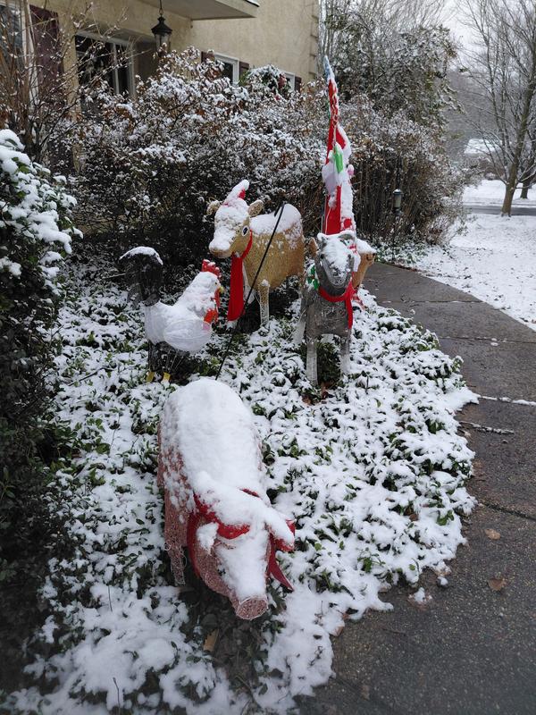 Dusting of snow on our display