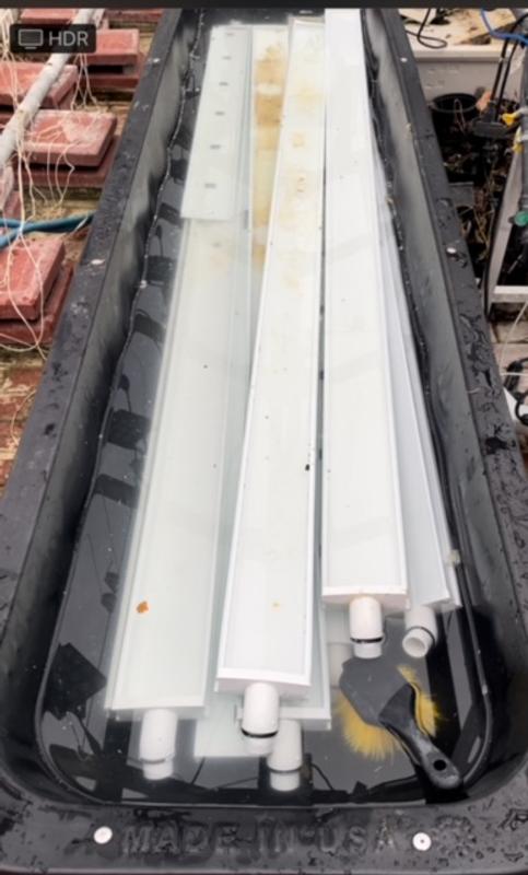 Troughs soaking in Bunk Feeder