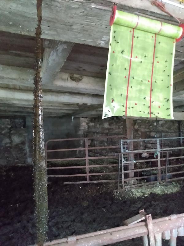 After a couple hours. Hung at the same time.