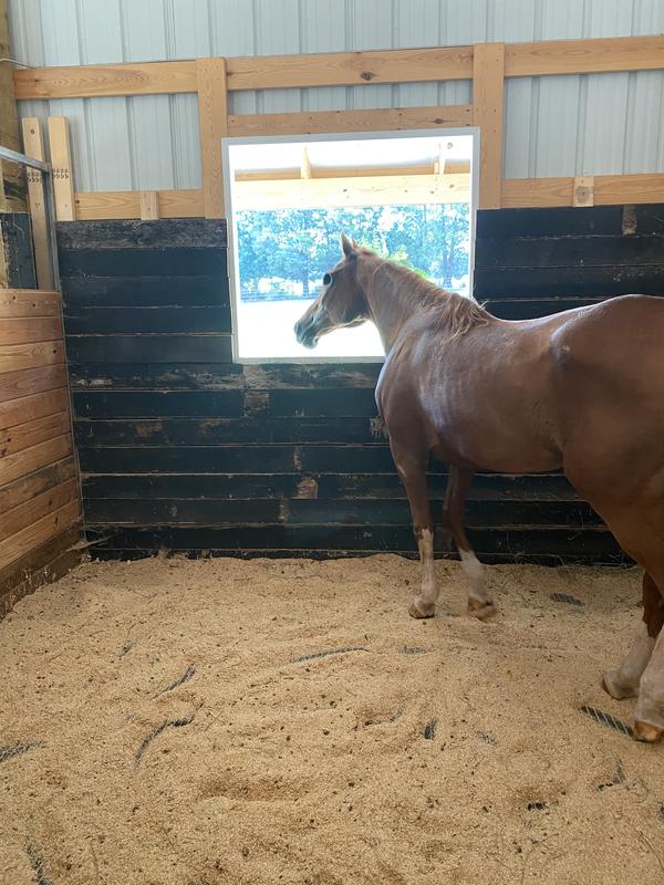 Waiting for her hydration hay
