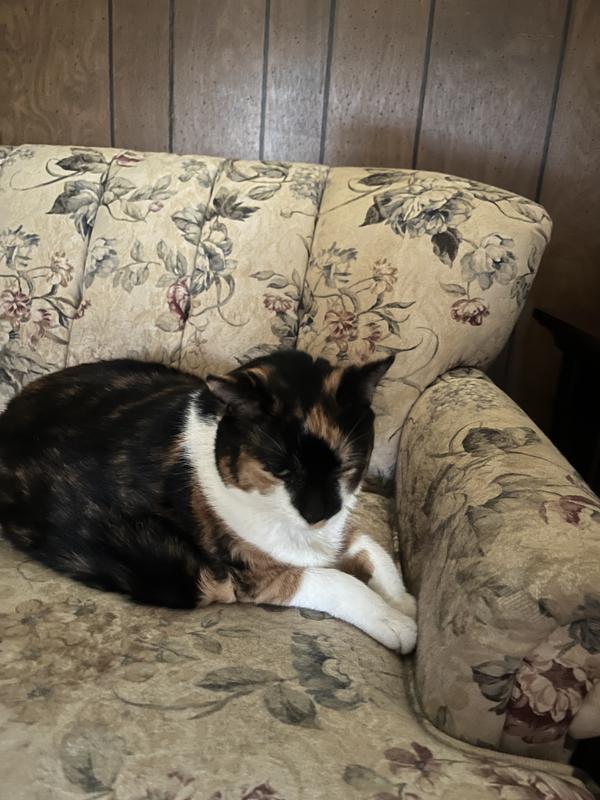 Before and after. It’s hard to see in pics but WOW!