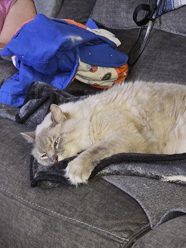 Yoda weight maintenance