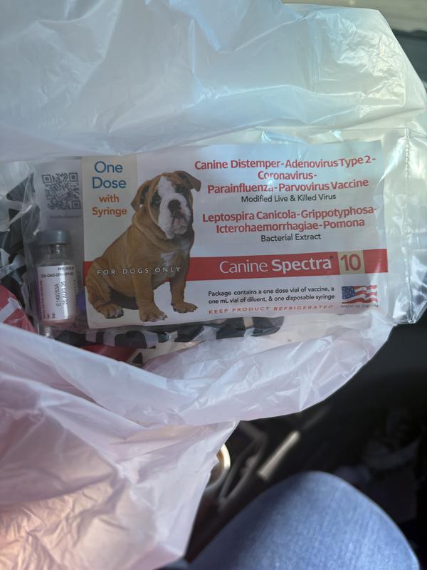 Tractor supply Dorchester road