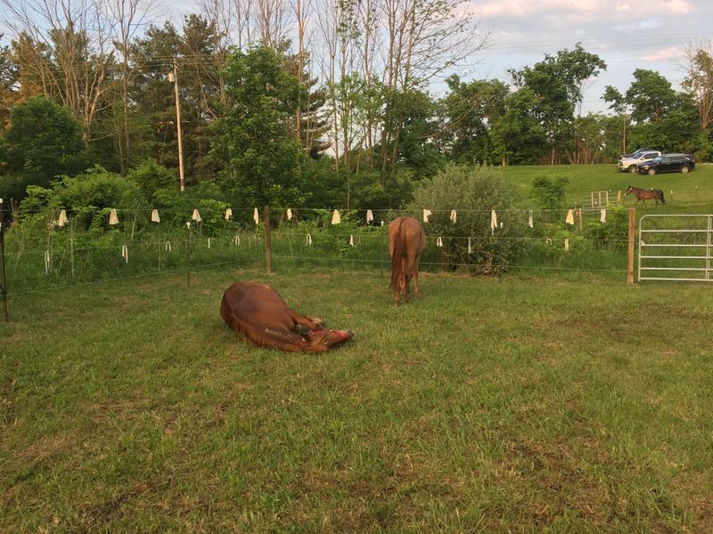 Niki & Chenoa relaxing in their new home