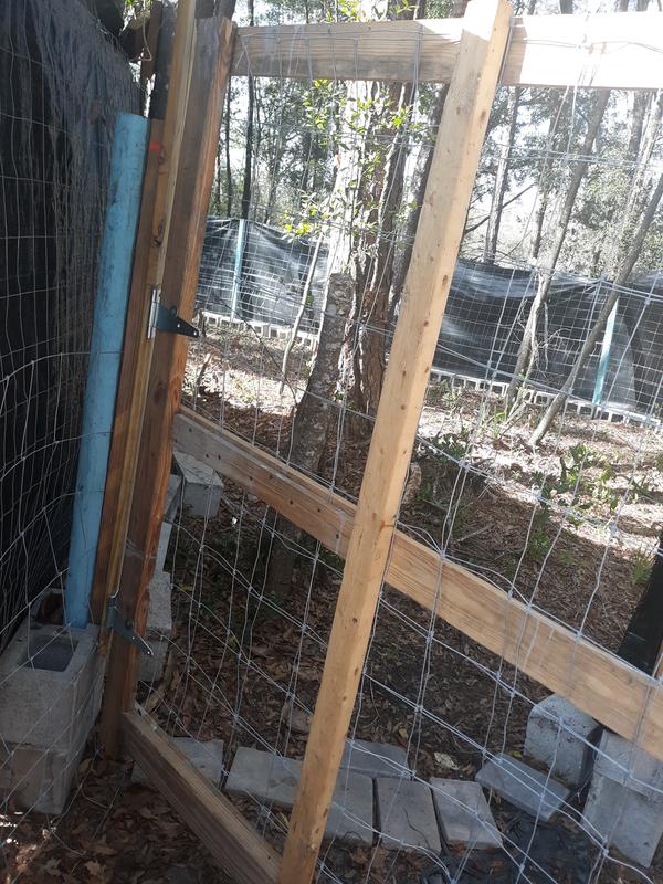 Dog pen on the wooded lot.