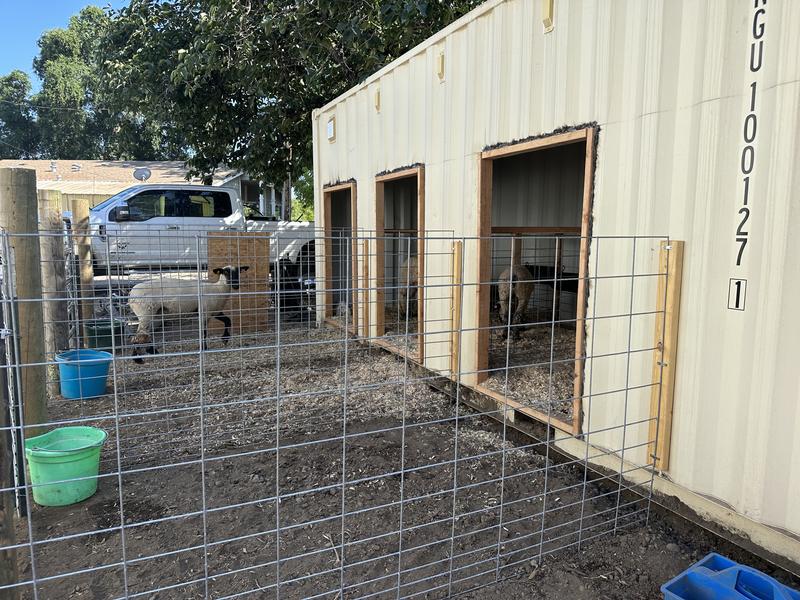 Each pen has this gate at the end of the run. Makes it easy to move animals when needed.