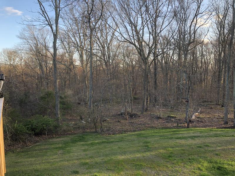 Best part is you can’t see the fencing.