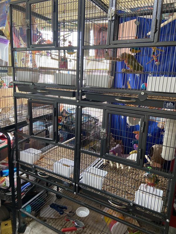 Some of my singles in the cubes