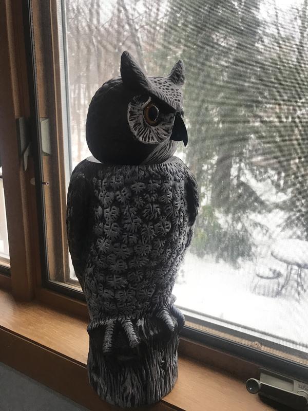 You can see the side view of his beak , it looks real