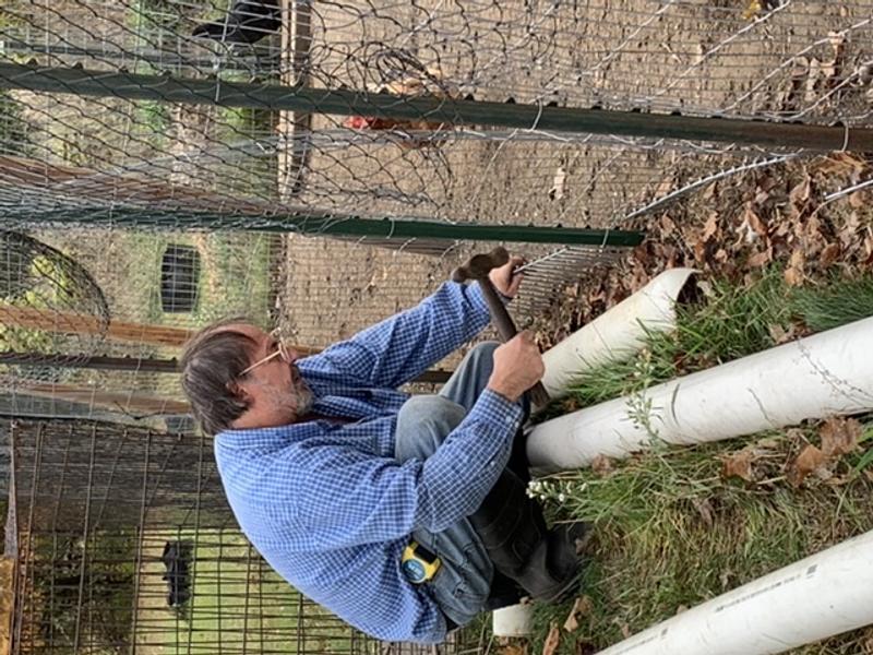 Installing the Dig Defence