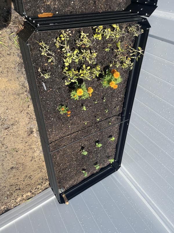 So excited for this gardening journey