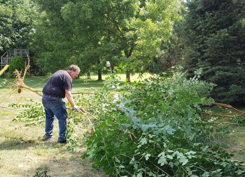 Roots came out intact